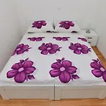 Dominik Apartman *