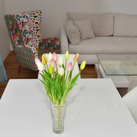 Dominik Apartment